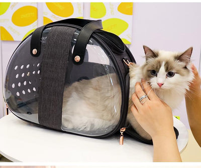 Pet transparent backpack foldable breathable portable