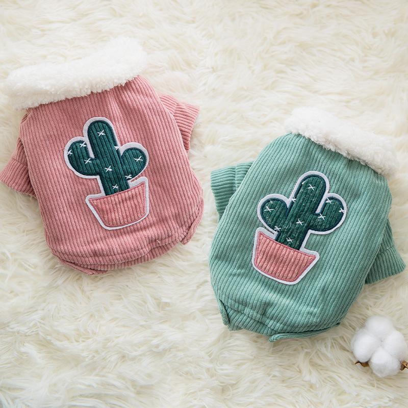 Cactus pet clothing