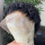 13x1pixie cut wig curly