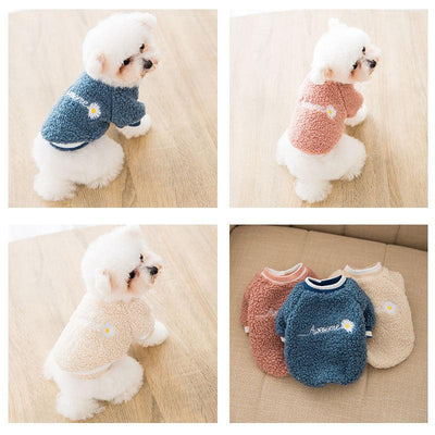 Small daisies small dogs cats pet clothes