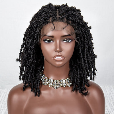 BTFS-009N LACE Braids Wig