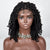 BTFS-009N LACE Braids Wig