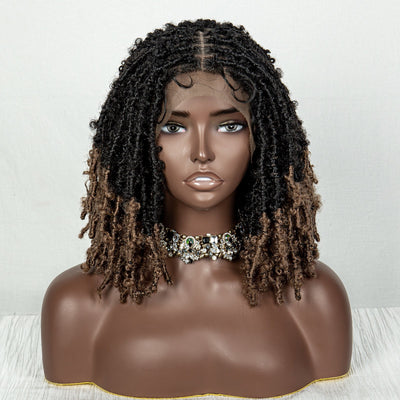 BTFS-009N LACE Braids Wig