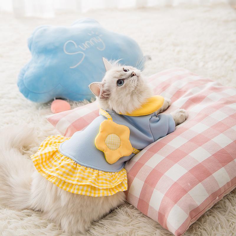 Cute backpack skirt pet sweater