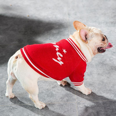 Pet sweater Small dog clothing