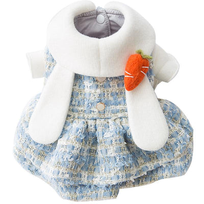 Princess wind woolen dress pet clothes