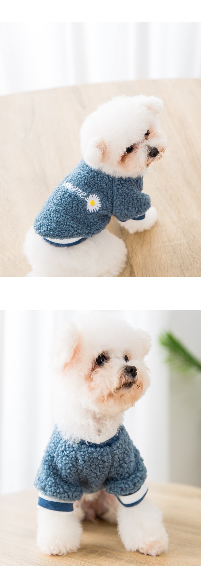 Small daisies small dogs cats pet clothes