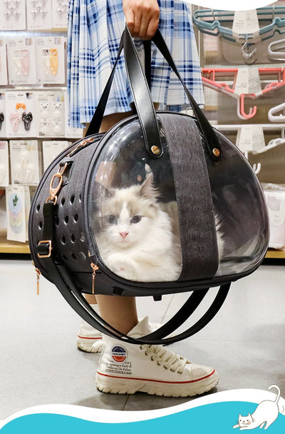 Pet transparent backpack foldable breathable portable