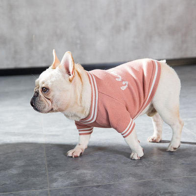 Pet sweater Small dog clothing