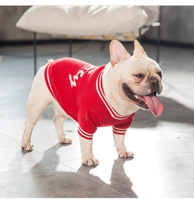 Pet sweater Small dog clothing