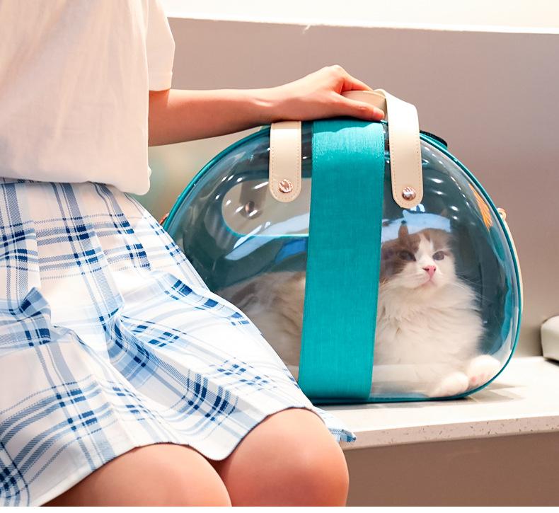 Pet transparent backpack foldable breathable portable