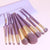 9pcs Purple Brush Set