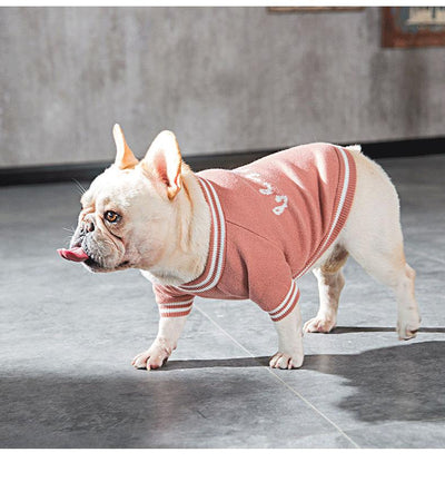 Pet sweater Small dog clothing